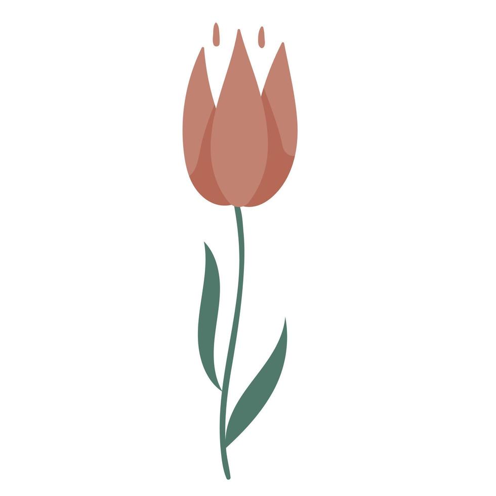 Vector doodle illustration of red tulip flower.