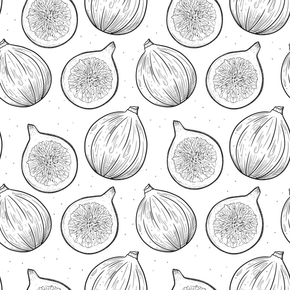 Vector seamless pattern with monochrome illustrations of raw figs in sketch style.