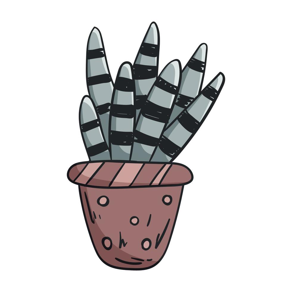 Vector doodle illustration of a house plant succulent in a pot.