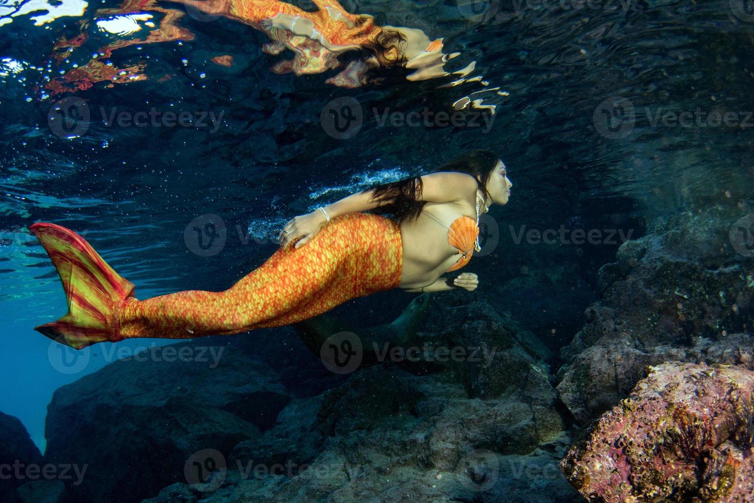 sirena nadando bajo el agua en el mar azul profundo con una foca foto