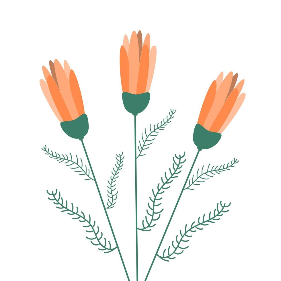 primavera ramo de flores de margaritas con cerrado brotes en naranja tonos en un blanco antecedentes vector