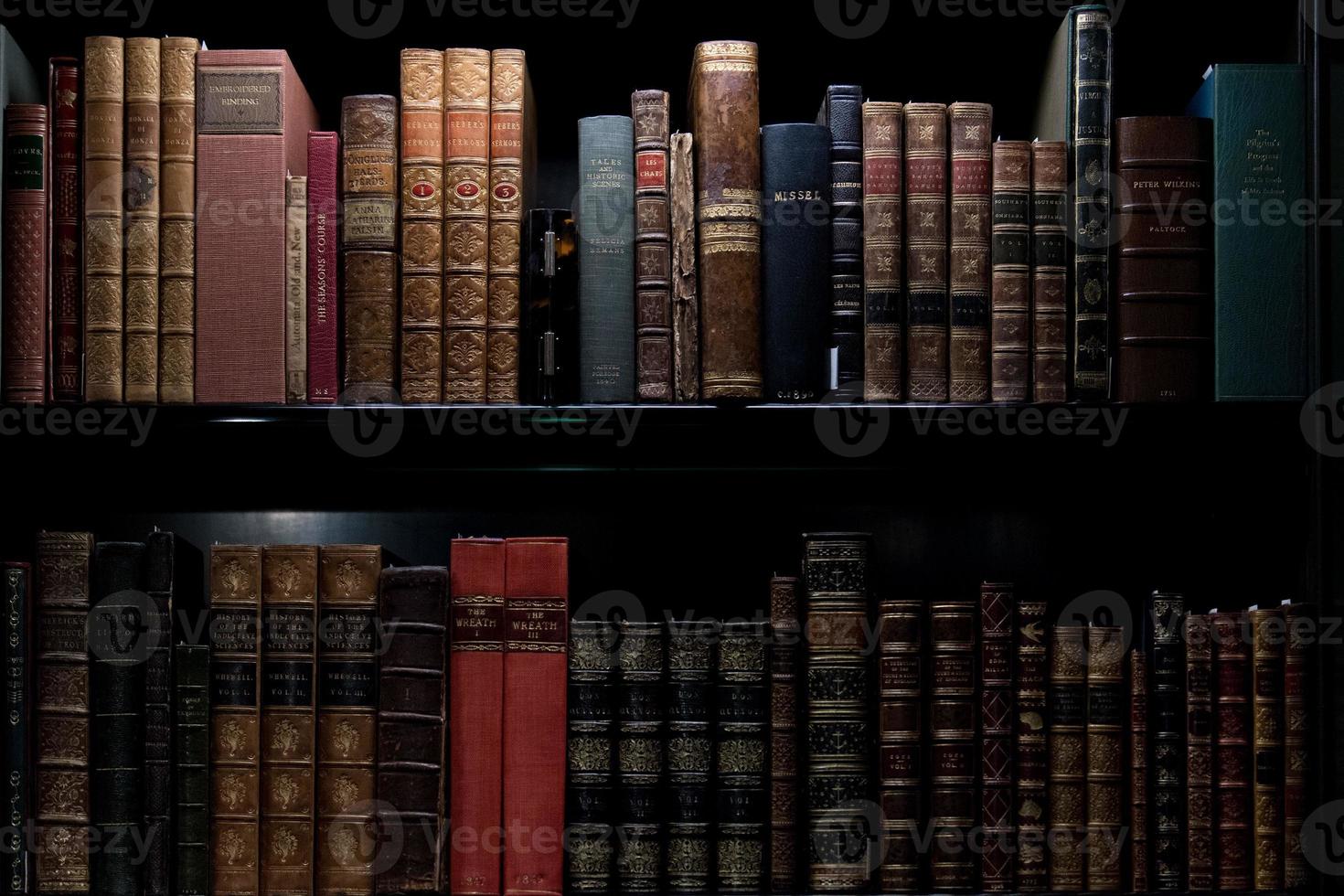 Antique and rare Books Shelf photo
