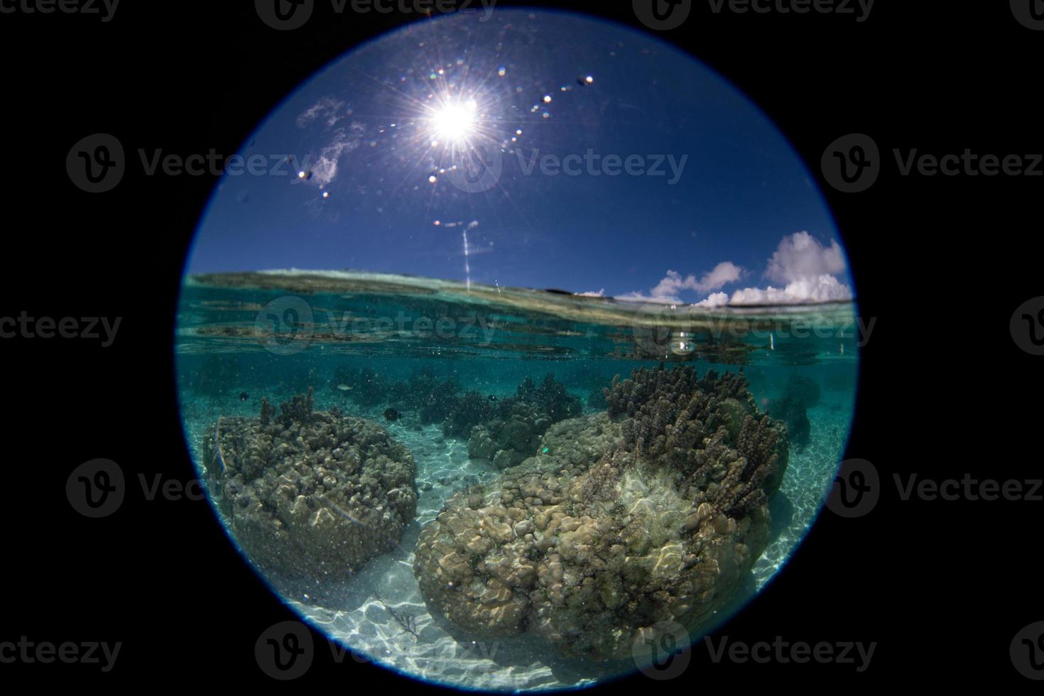 Snorkel con vista circular en la polinesia francesa bajo el mundo foto