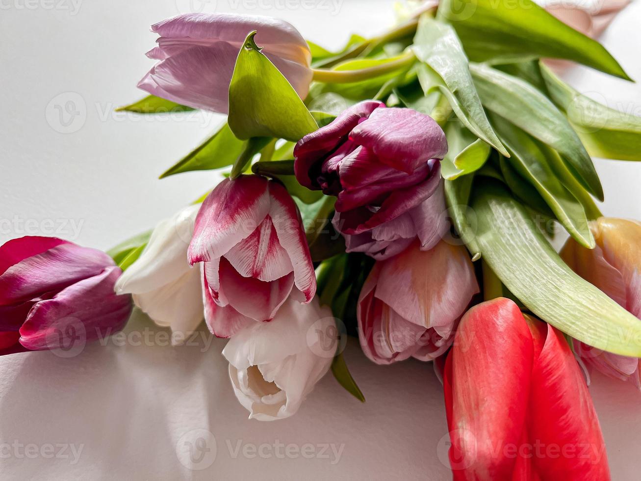 ramo de flores de tulipanes en blanco foto
