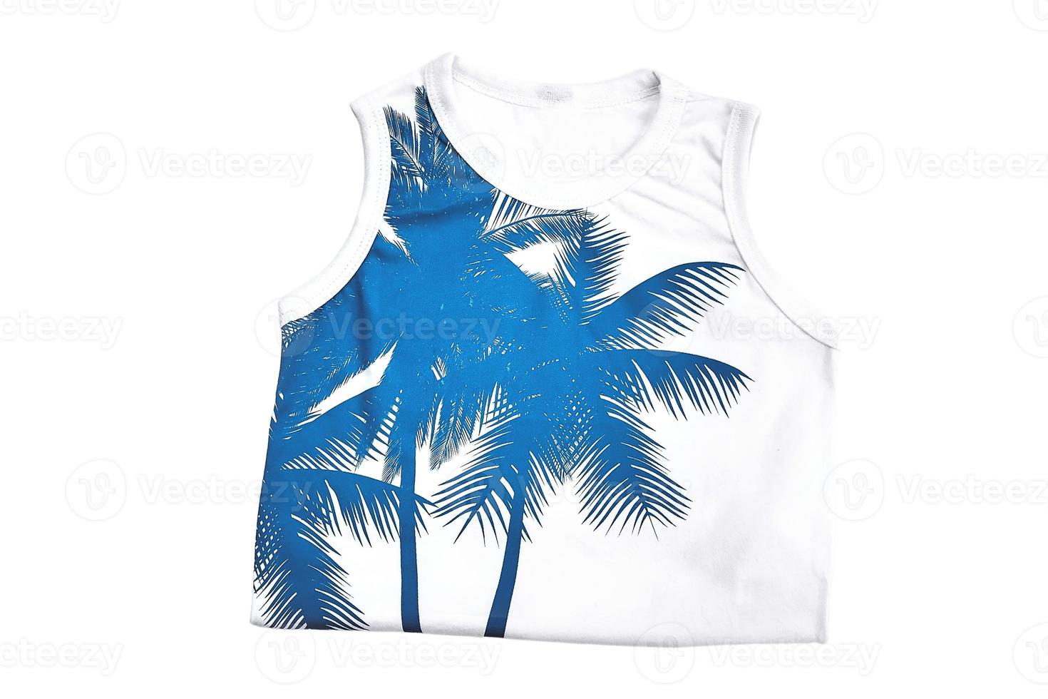 6167 Blue blouse isolated on a transparent background photo
