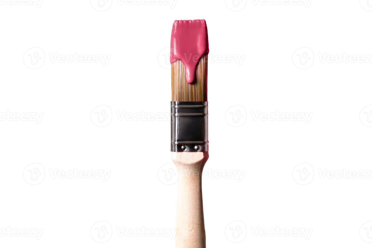 7344 Pink paint on a brush isolated on a transparent background photo