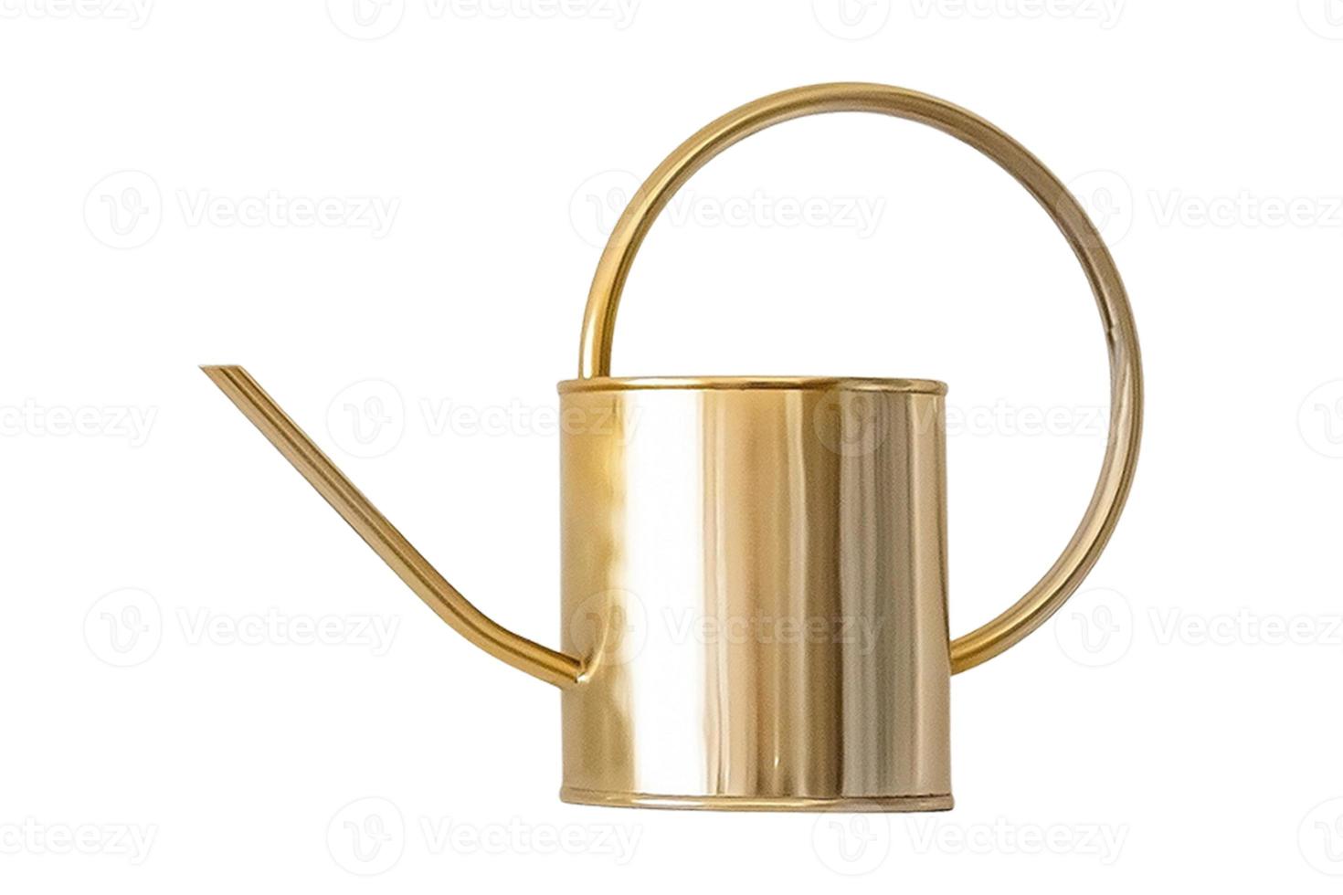 4873 Golden watering Can isolated on a transparent background photo