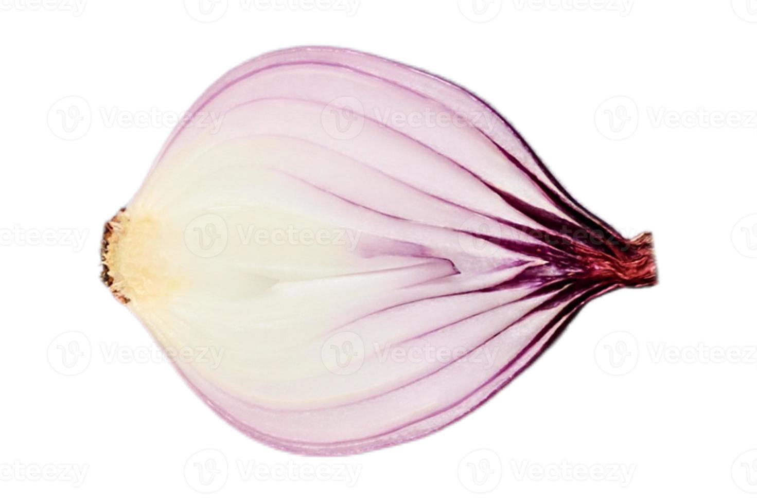 3142 Vegetables red onion isolated on a transparent background photo