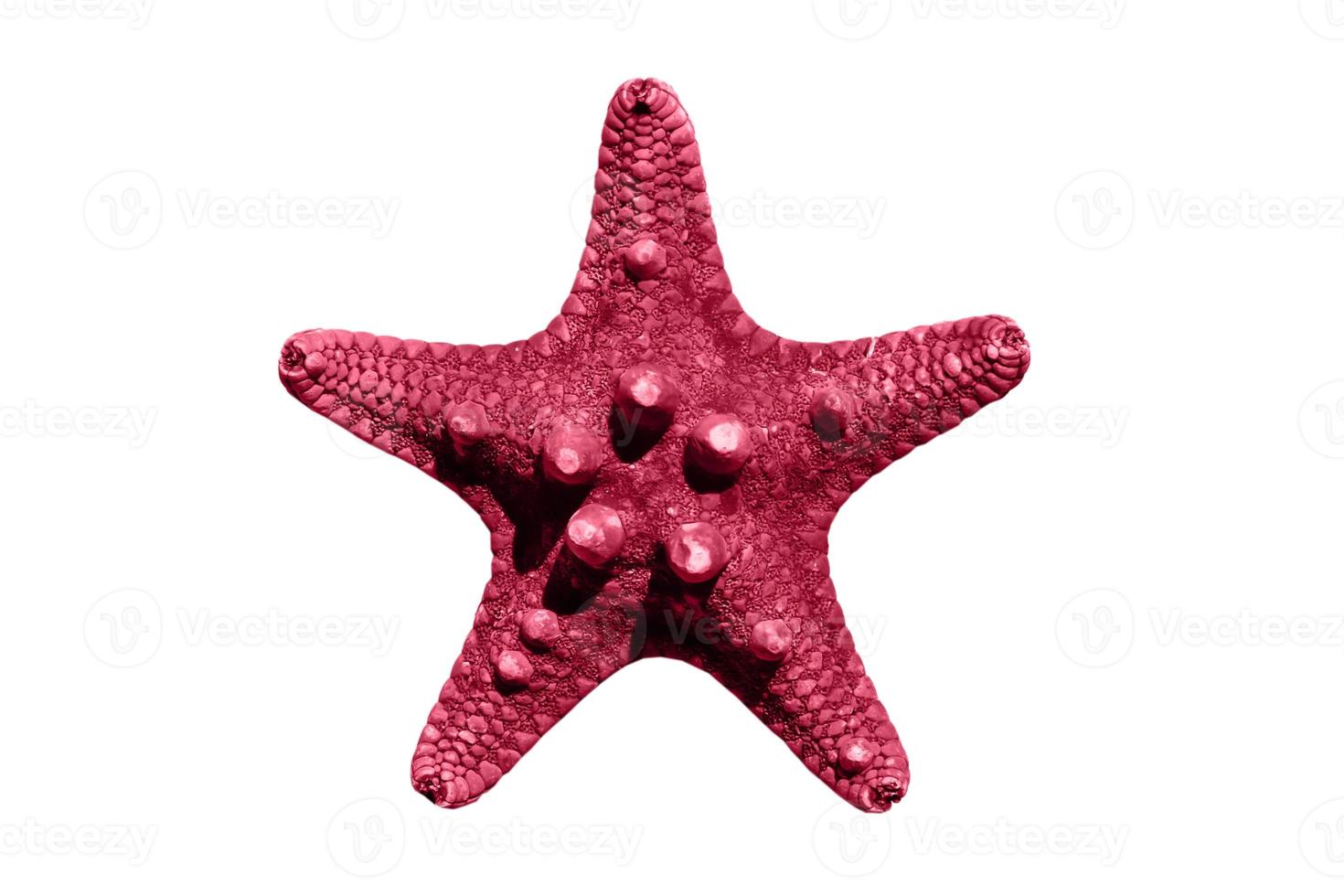 7359 Pink starfish isolated on a transparent background photo