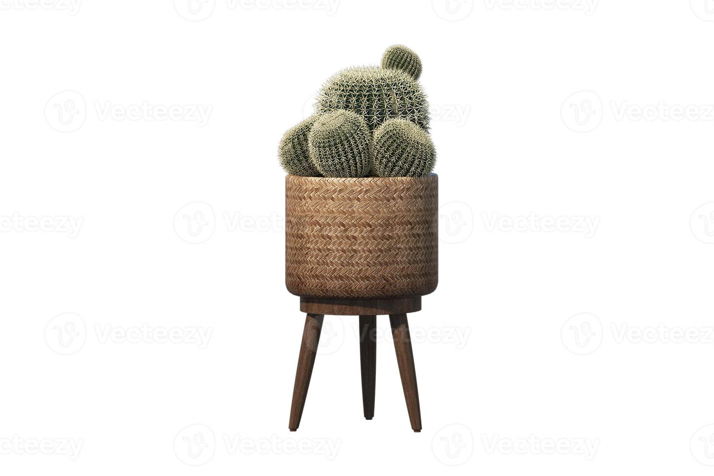 32 Side table with cacti isolated on a transparent background photo