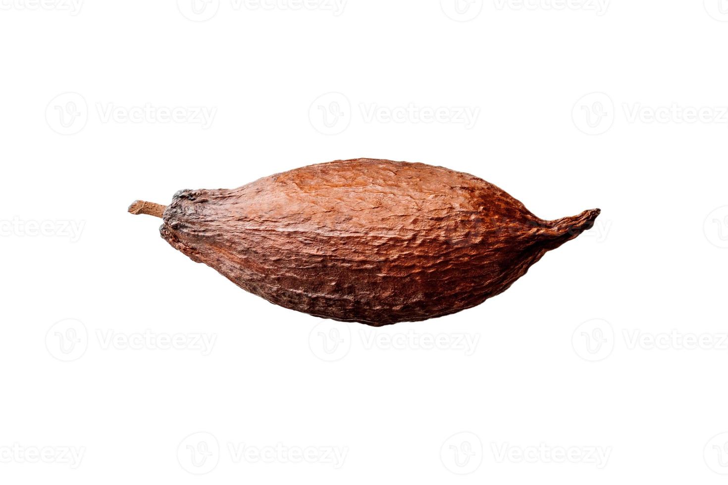 3803 Cocoa fruit isolated on a transparent background photo