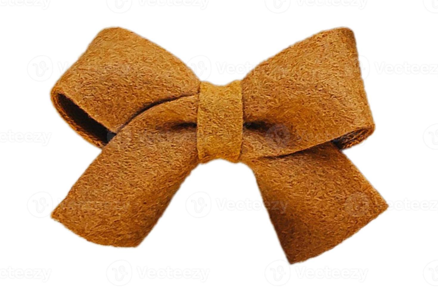 4217 Brown bow isolated on a transparent background photo