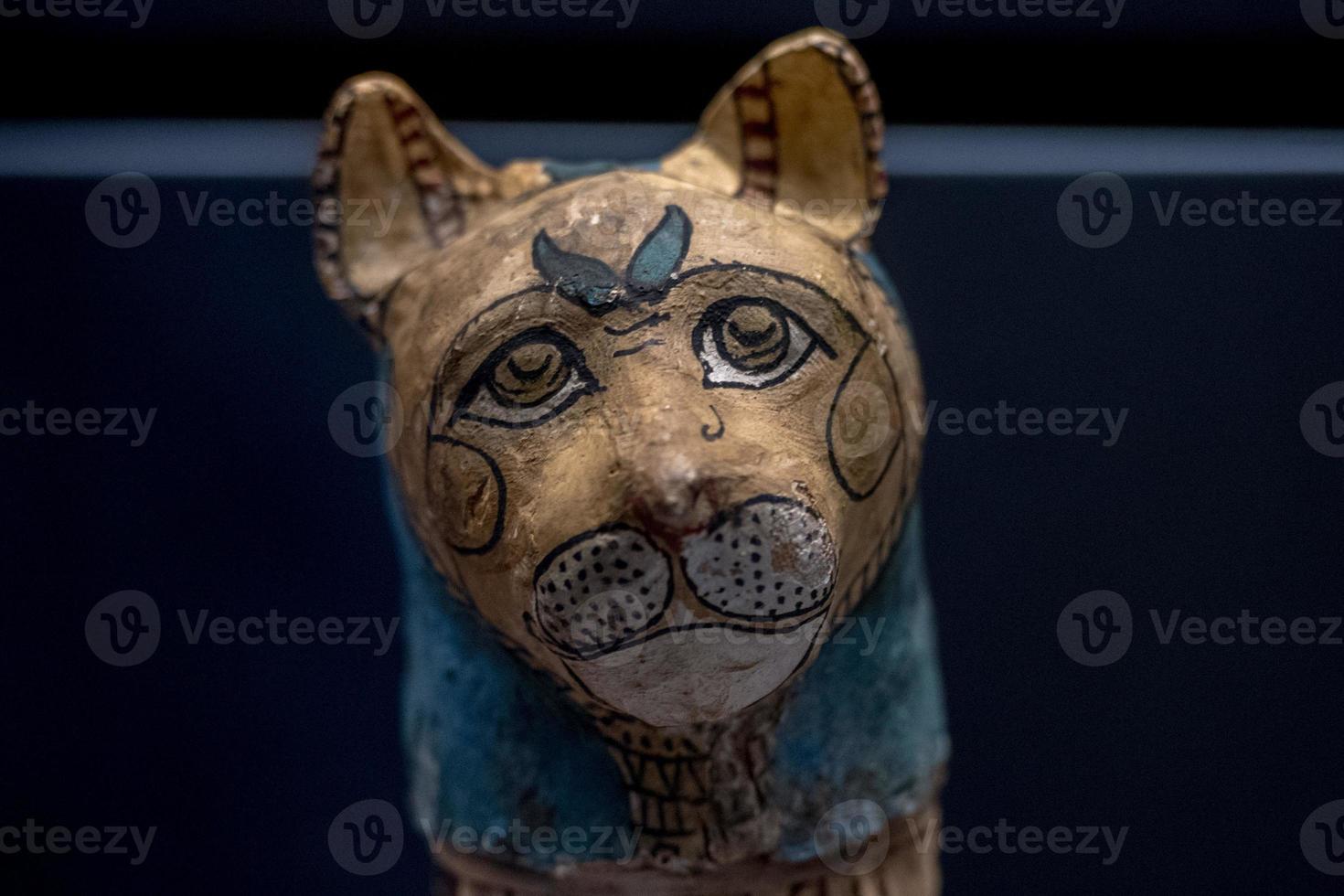 egyptian mummy cat found inside tomb photo
