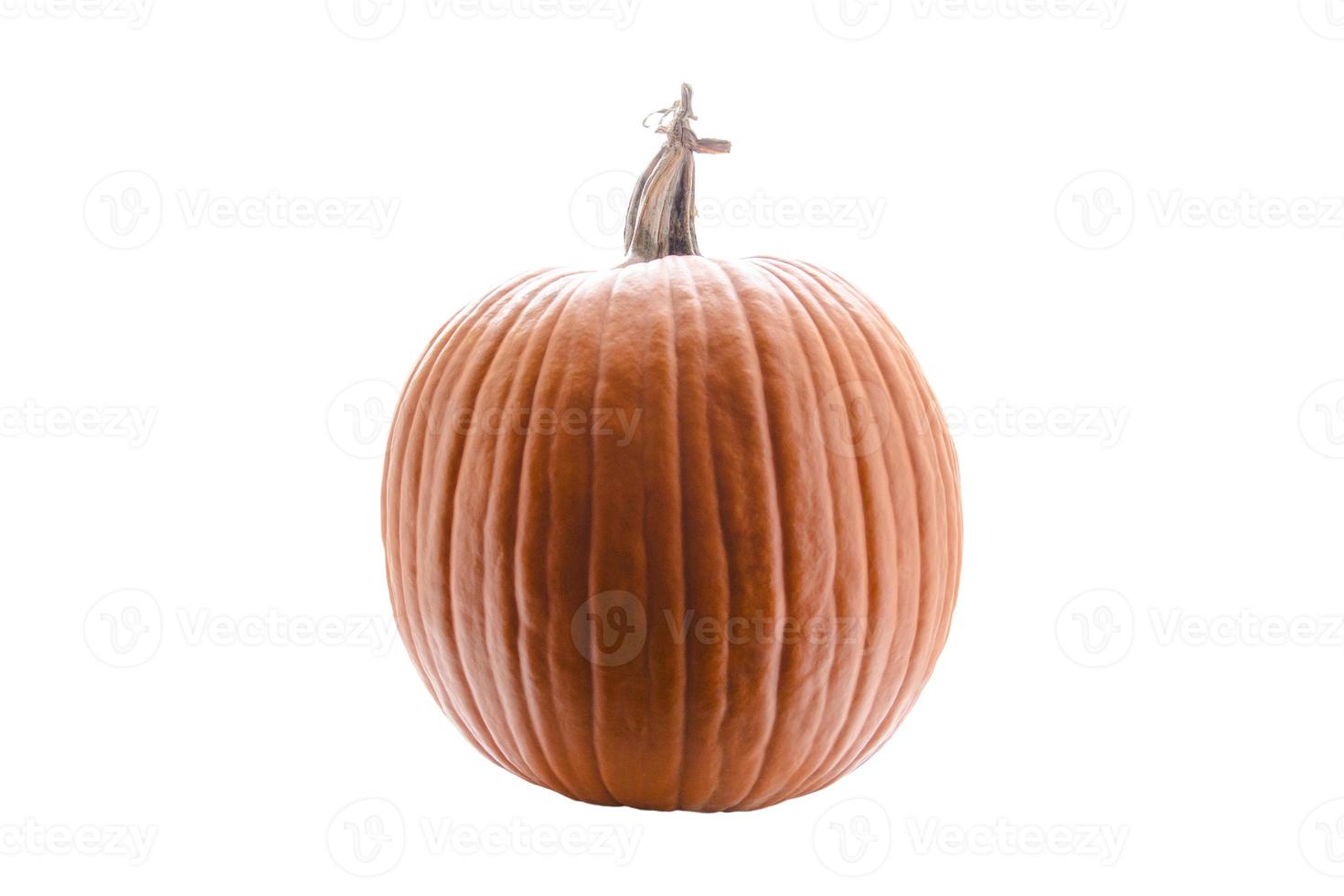 4133 Orange pumpkin isolated on a transparent background photo