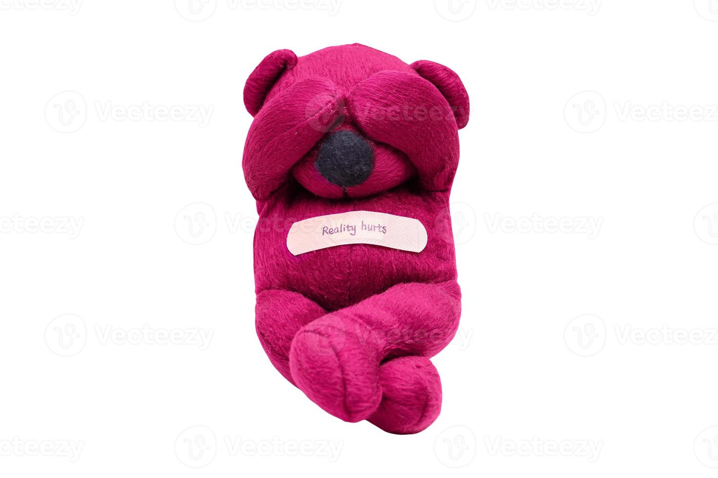 7226 Pink plush isolated on a transparent background photo