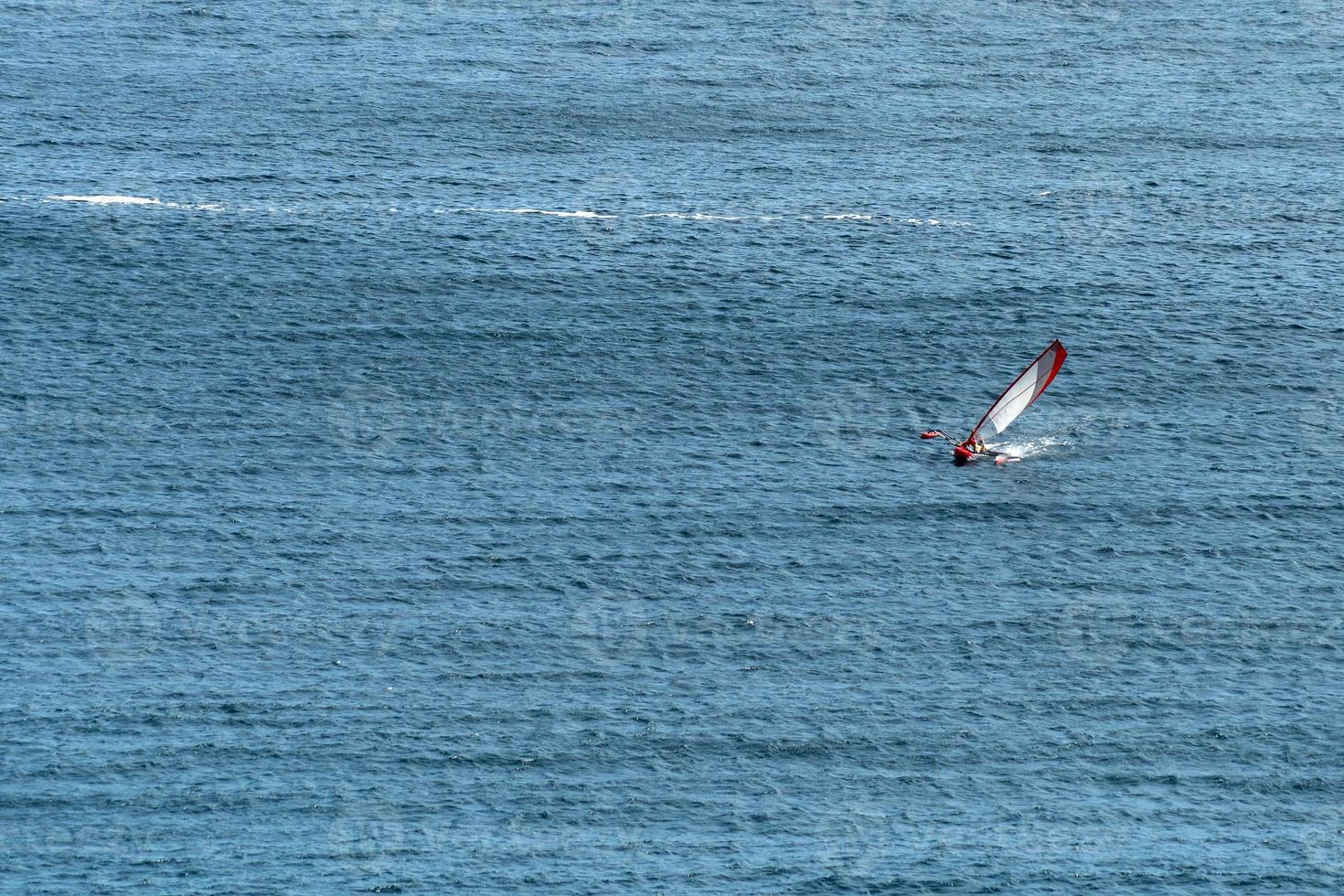 full speed catamaran on blue ocean sea photo