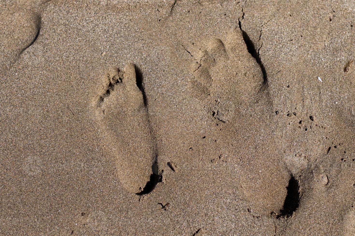 Human tracks on sand photo