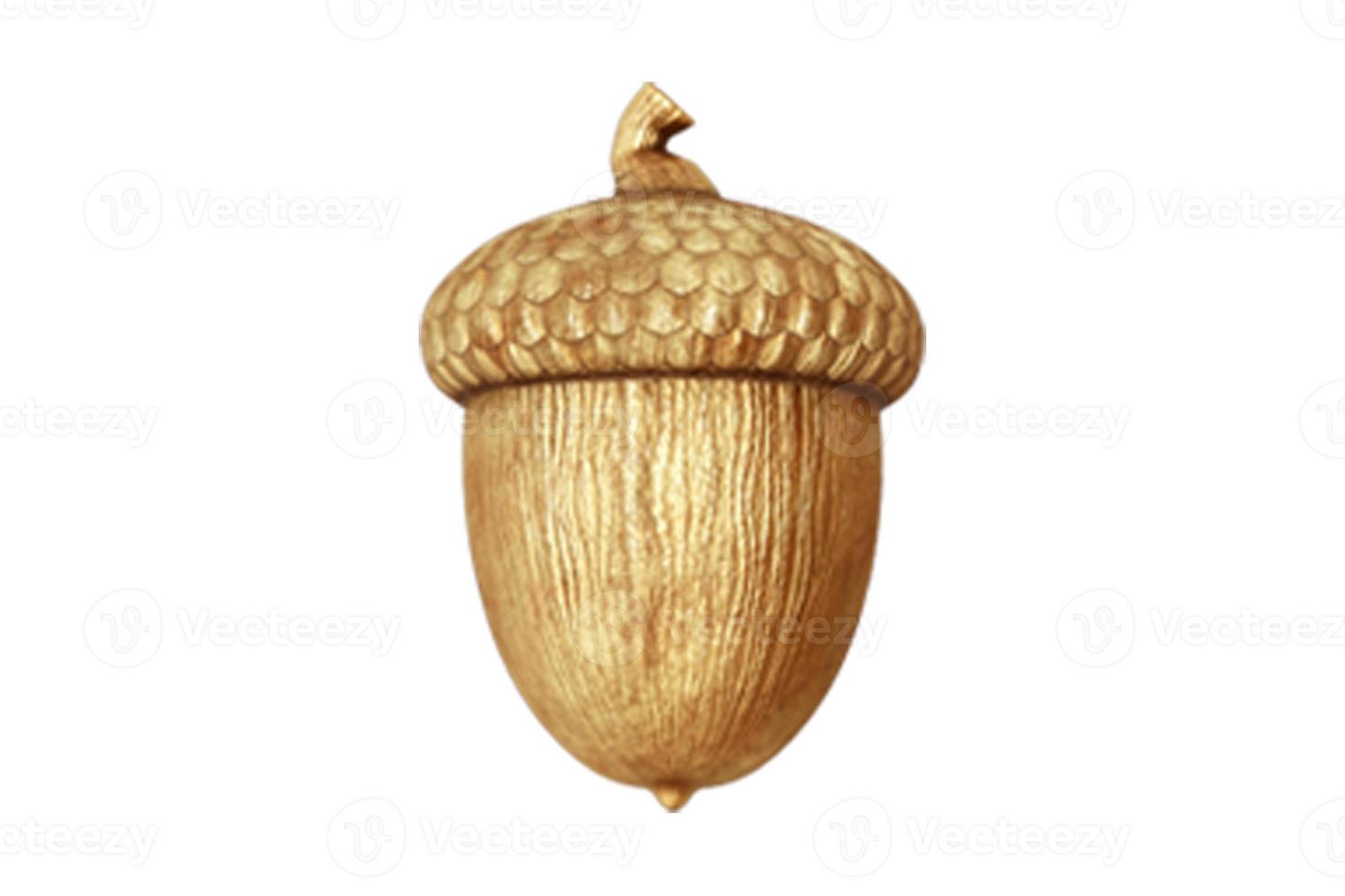 4860 Golden walnut isolated on a transparent background photo