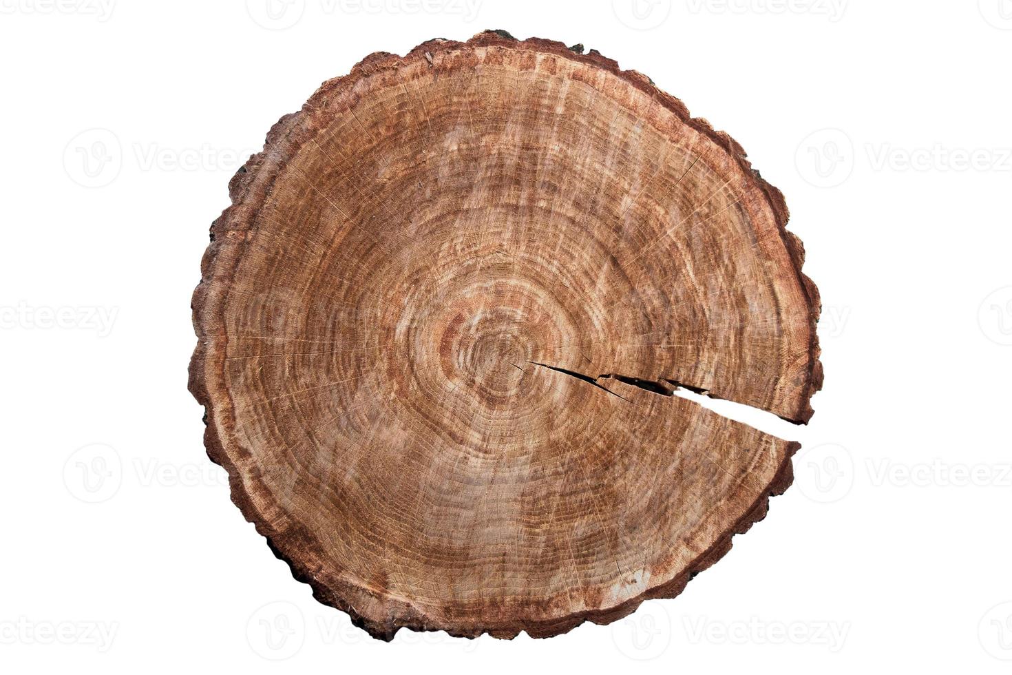 5256 Brown wood isolated on a transparent background photo