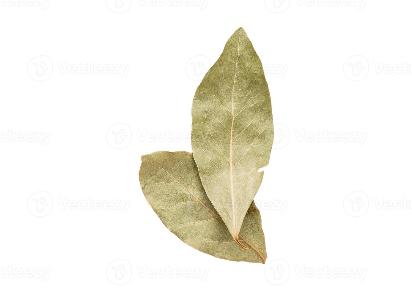 2178 Dried leaves isolated on a transparent background photo