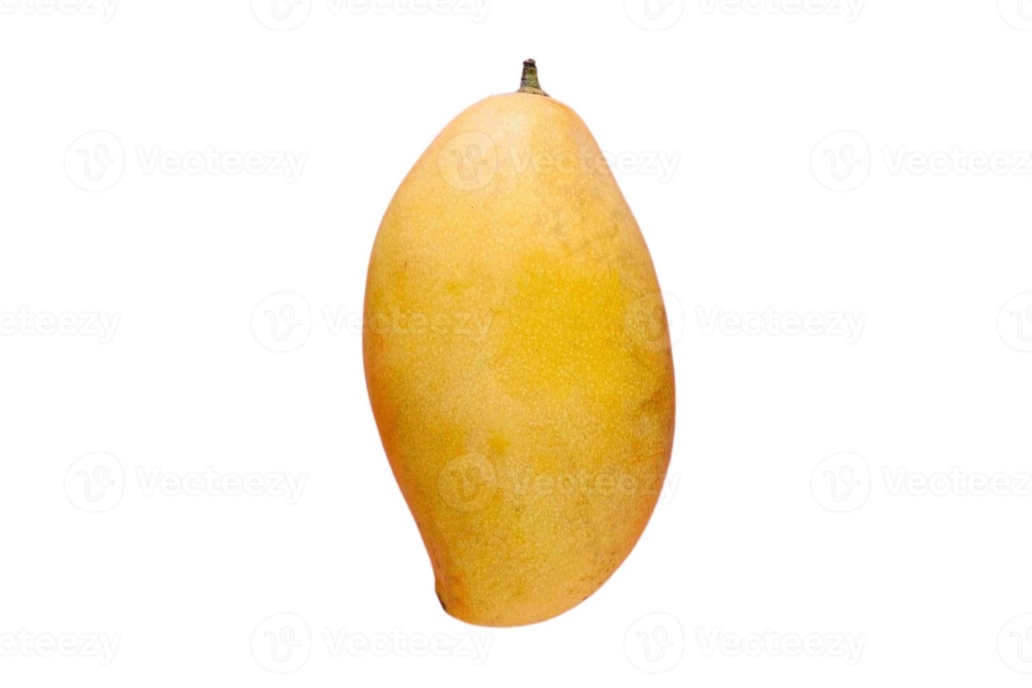3530 Yellow mango fruit isolated on a transparent background photo