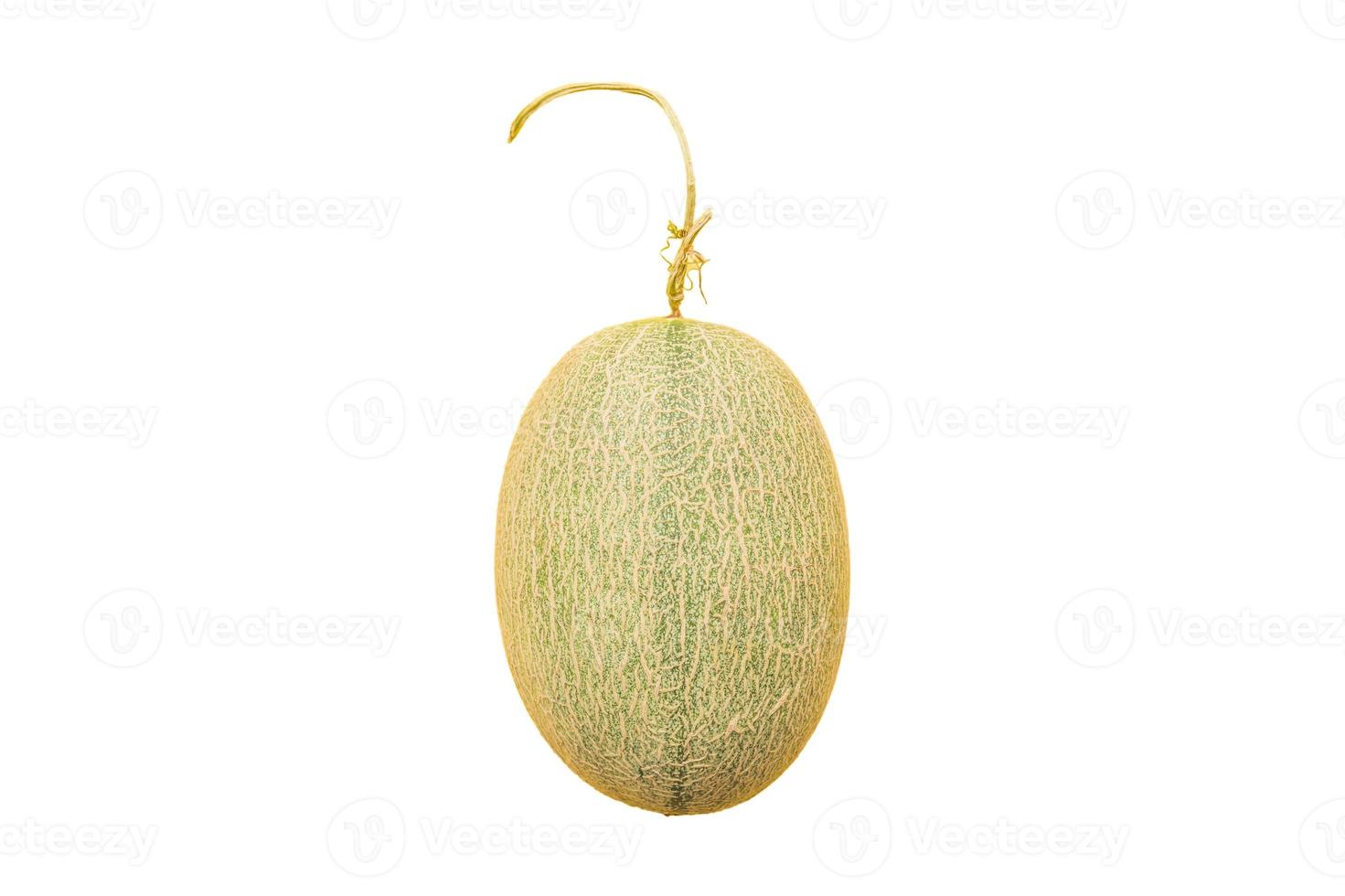 3605 Melon fruit isolated on a transparent background photo