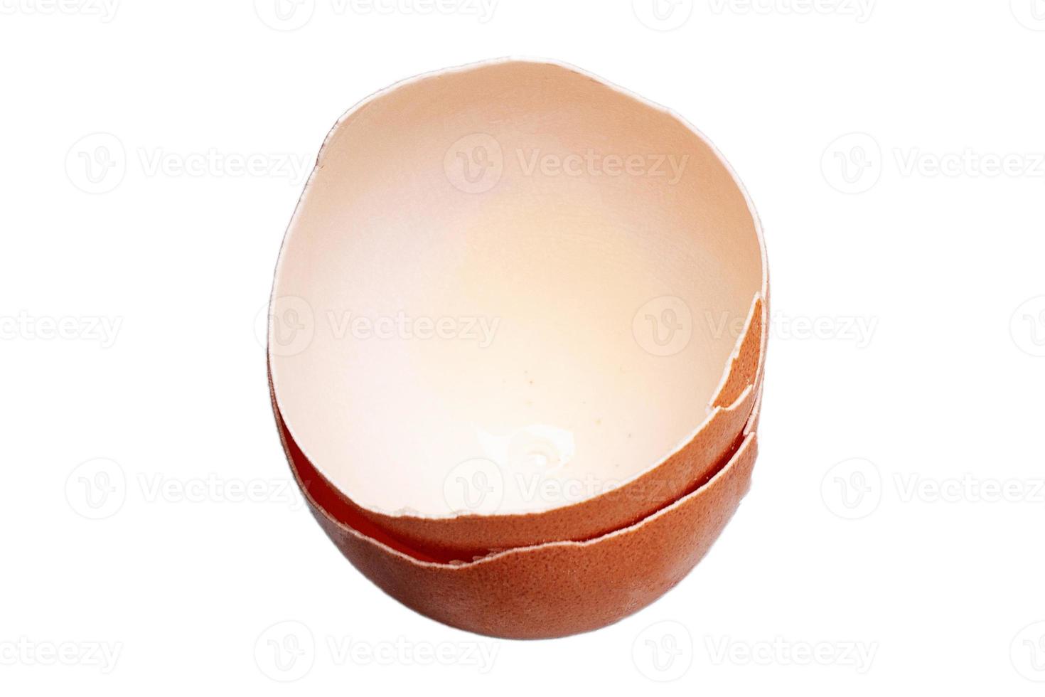3031 Egg shells on white isolated on a transparent background photo