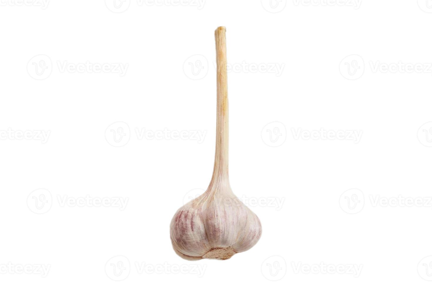 3122 Garlic isolated on a transparent background photo