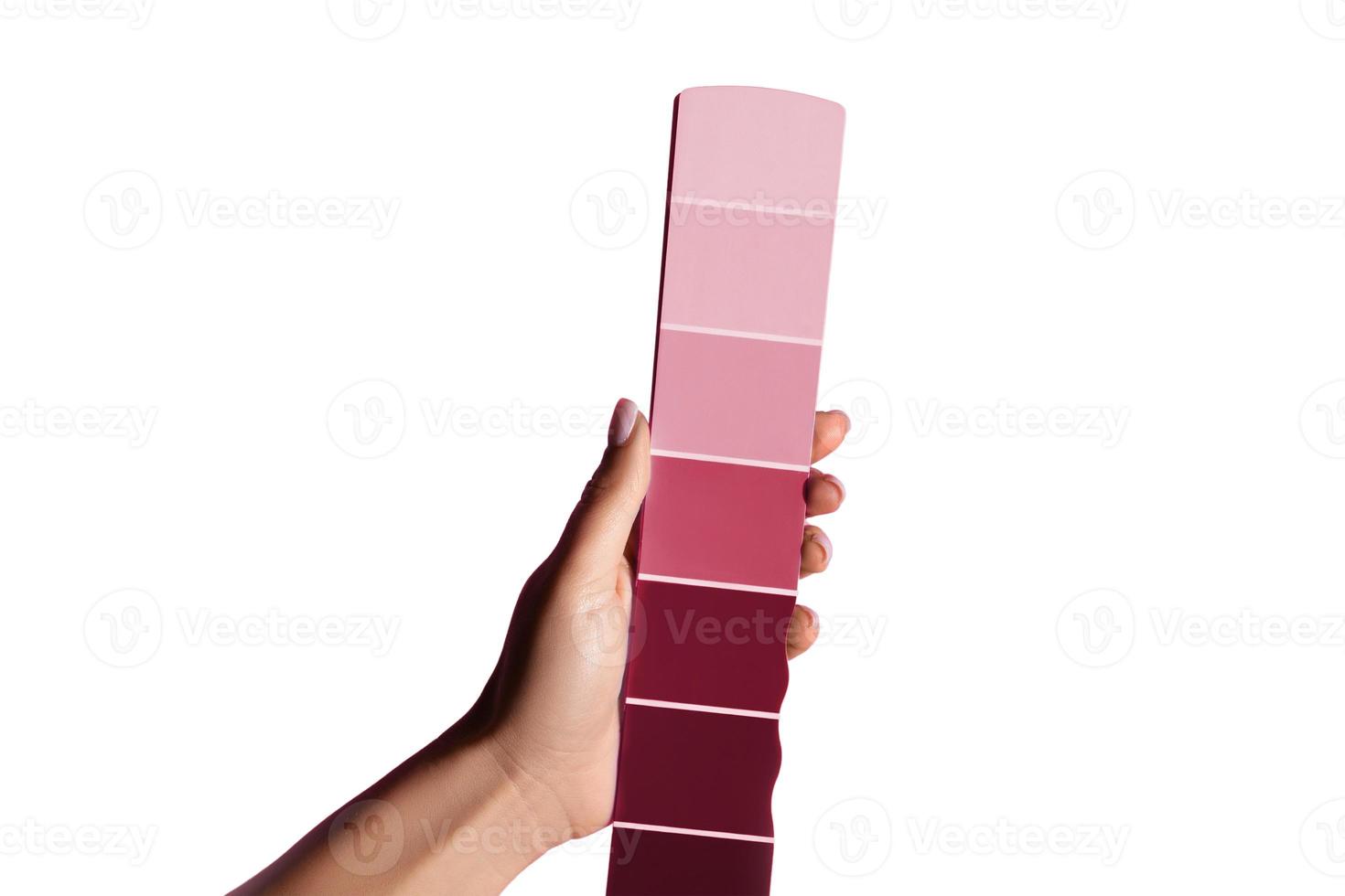 7341 Pink color pallet isolated on a transparent background photo