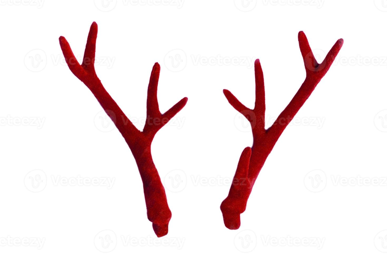 800 Red horns isolated on a transparent background photo