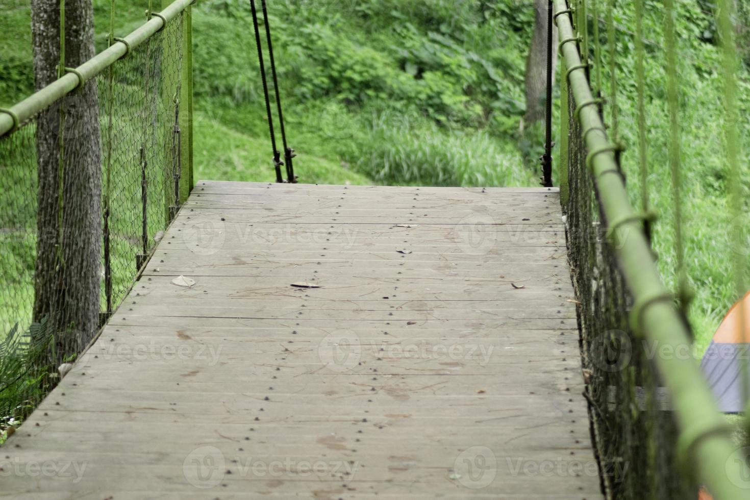 green hanging bridge in the forest photo