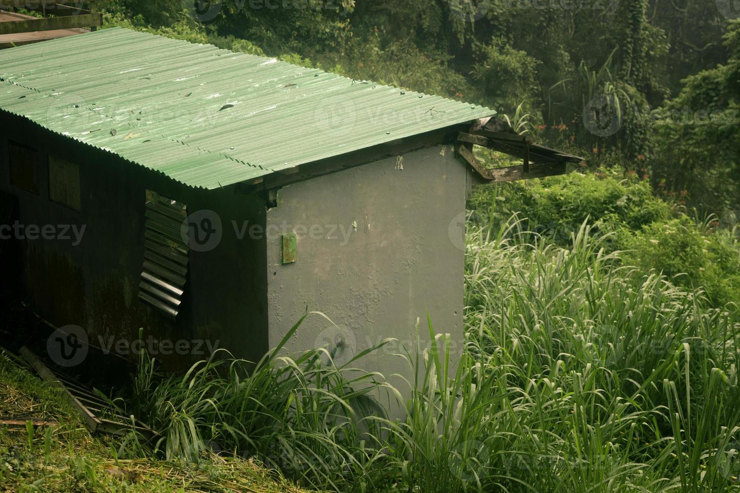 pequeño casa en el selva foto