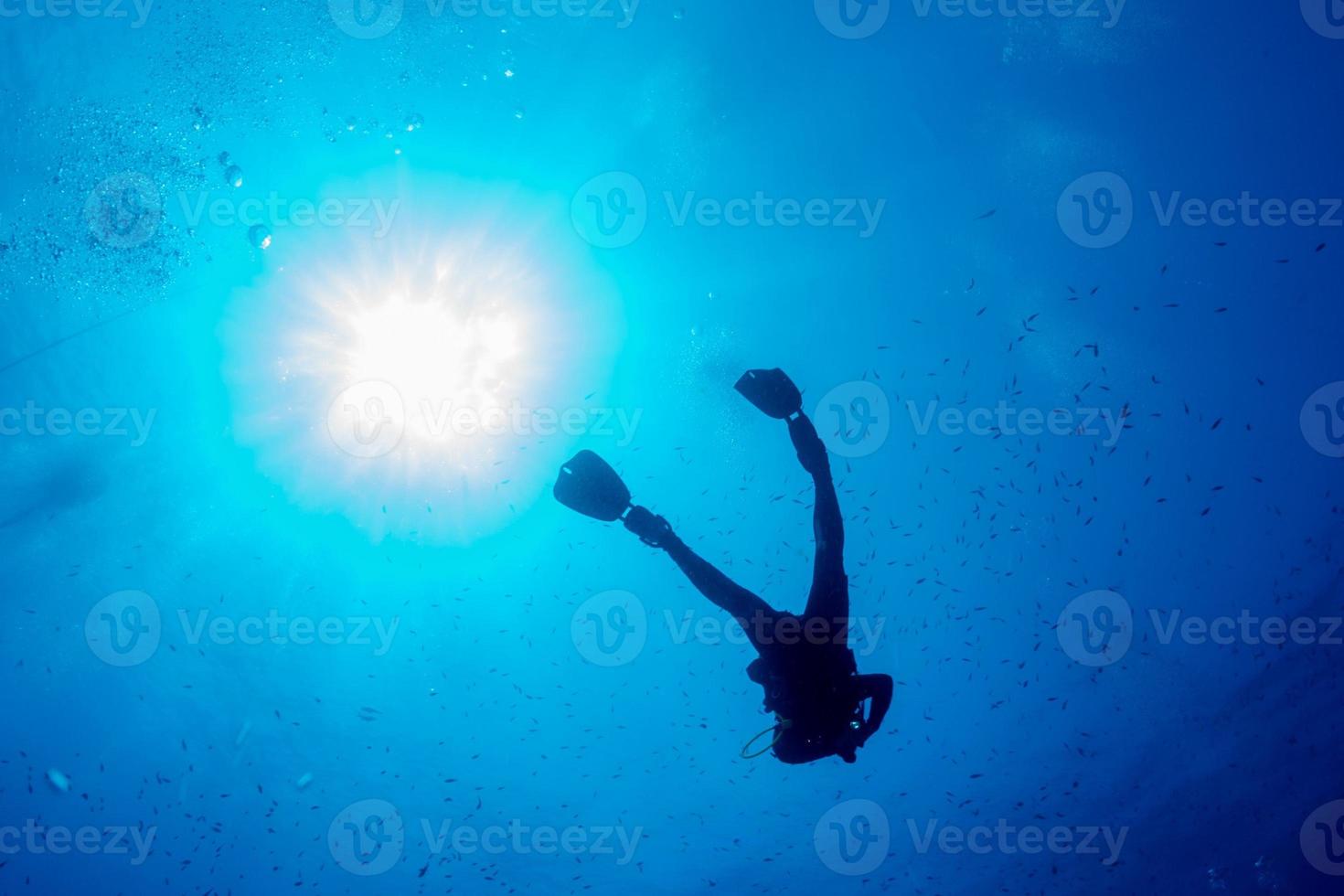 divers under boat for deco time in the blue photo