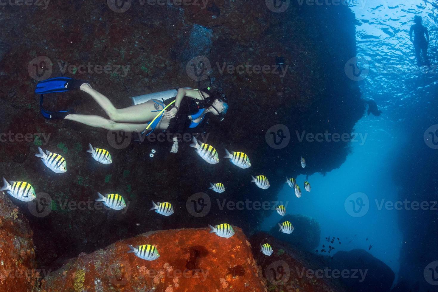 Beaytiful Latina Diver Inside a school of fish photo
