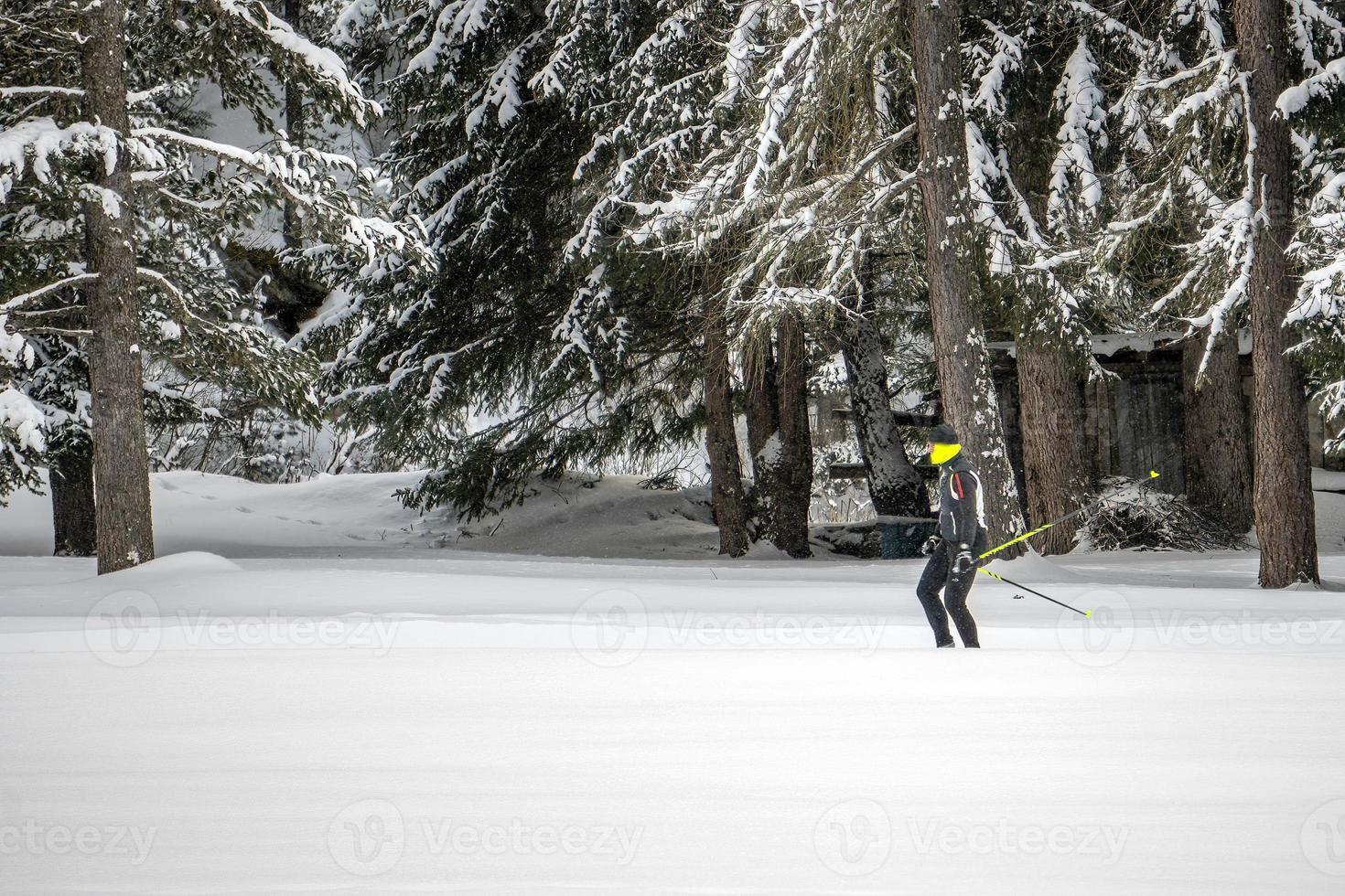 cross country skiing in dolomites photo