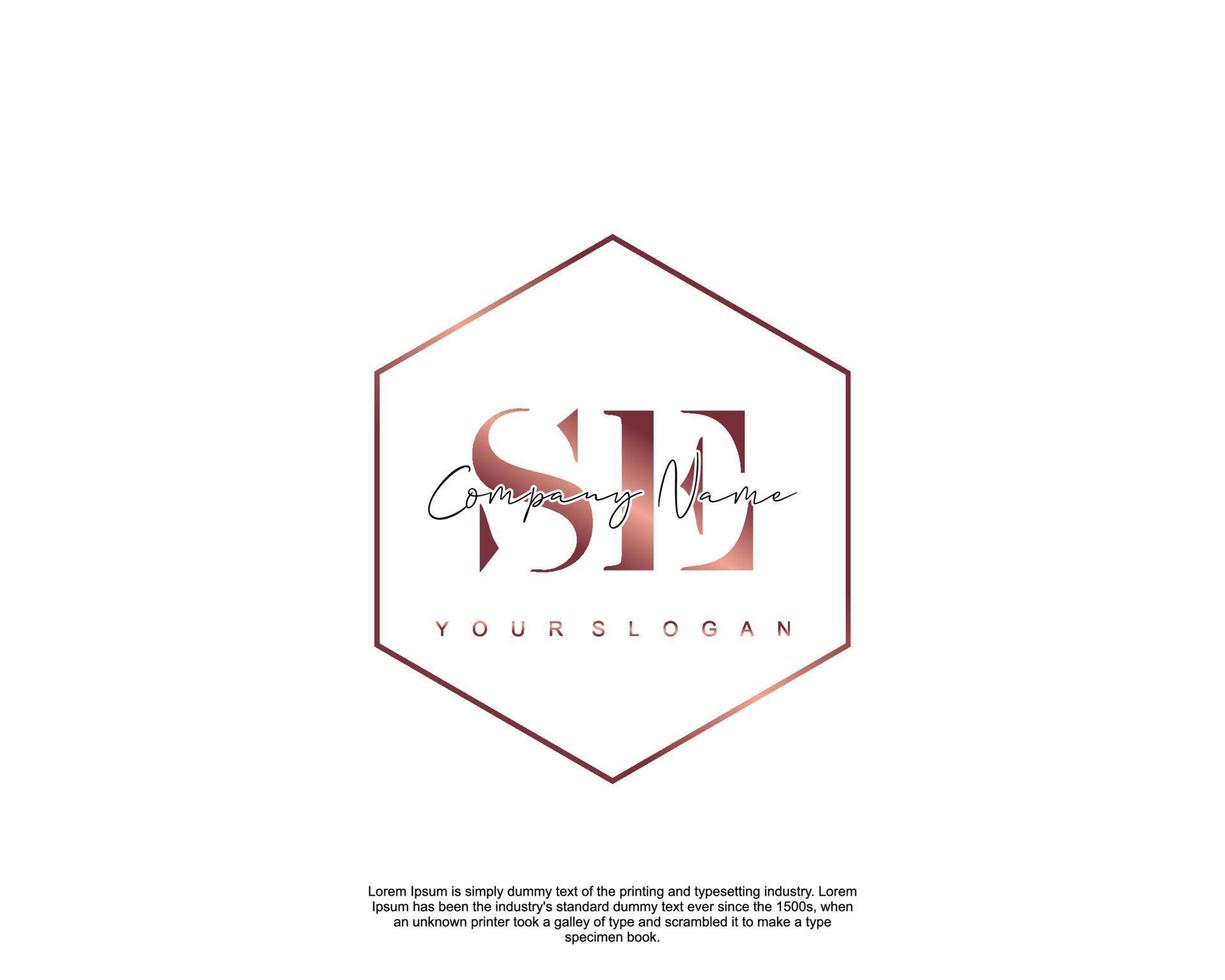 Initial letter SE Feminine logo beauty monogram and elegant logo design, handwriting logo of initial signature, wedding, fashion, floral and botanical with creative template vector