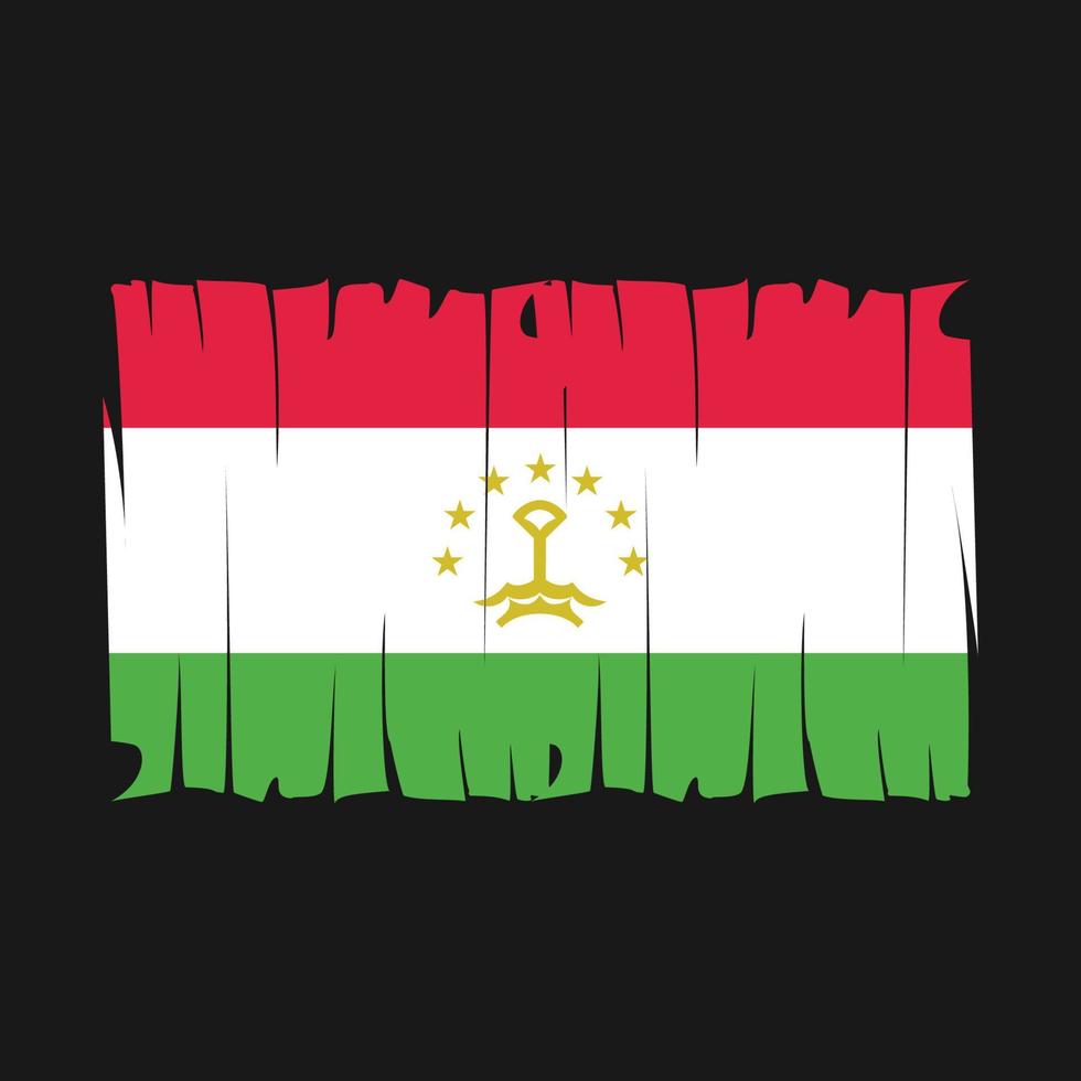 Tajikistan Flag Vector