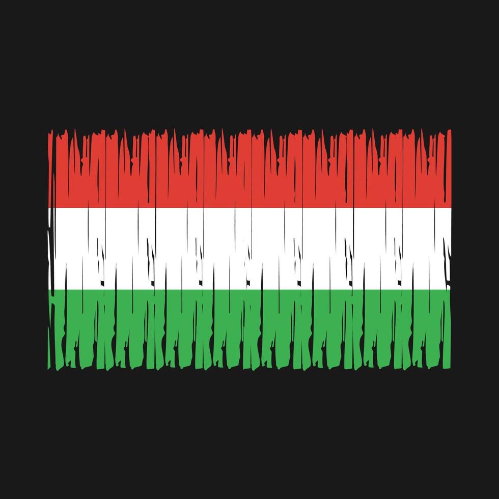 Hungary Flag Brush vector