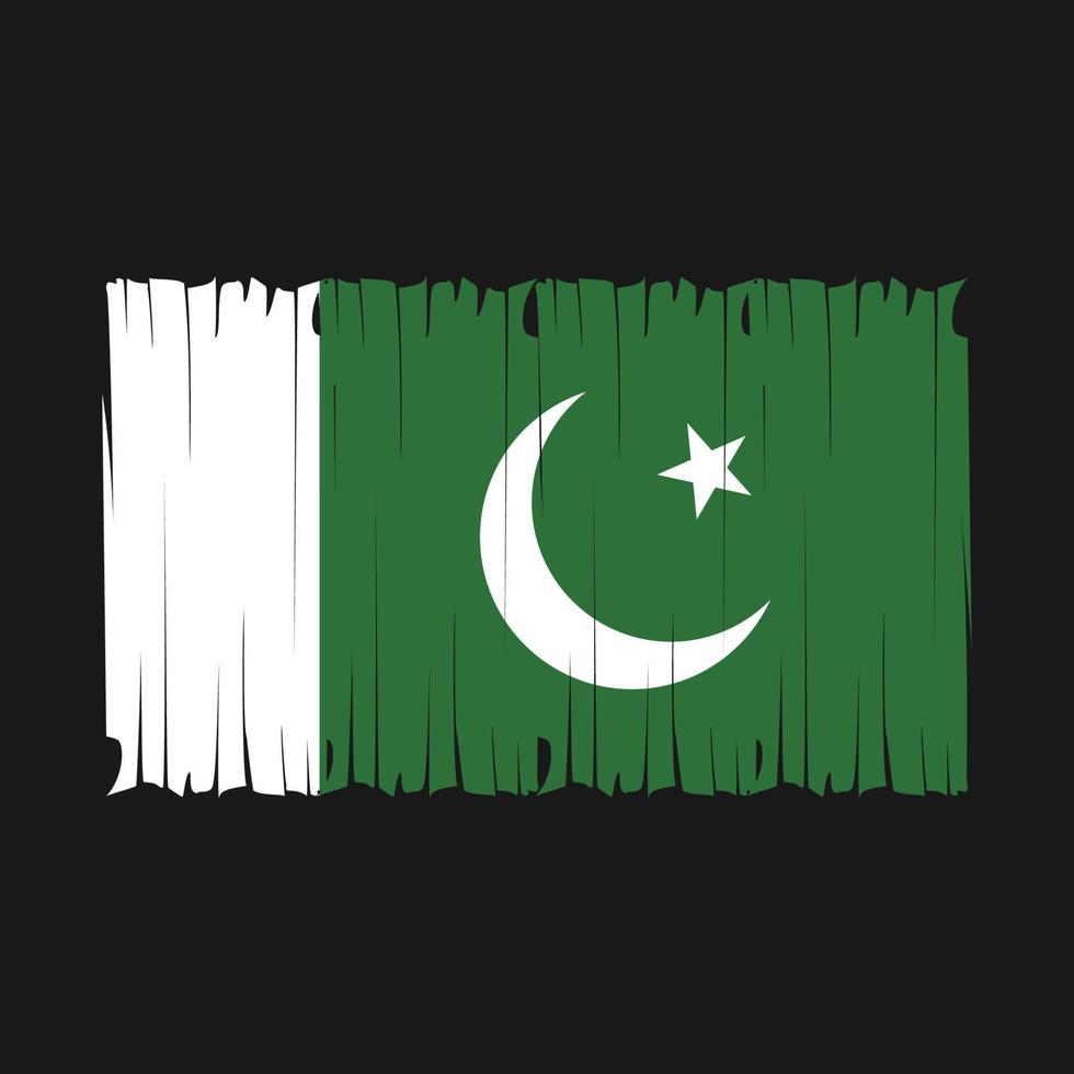 Pakistan Flag Brush Vector Illustration