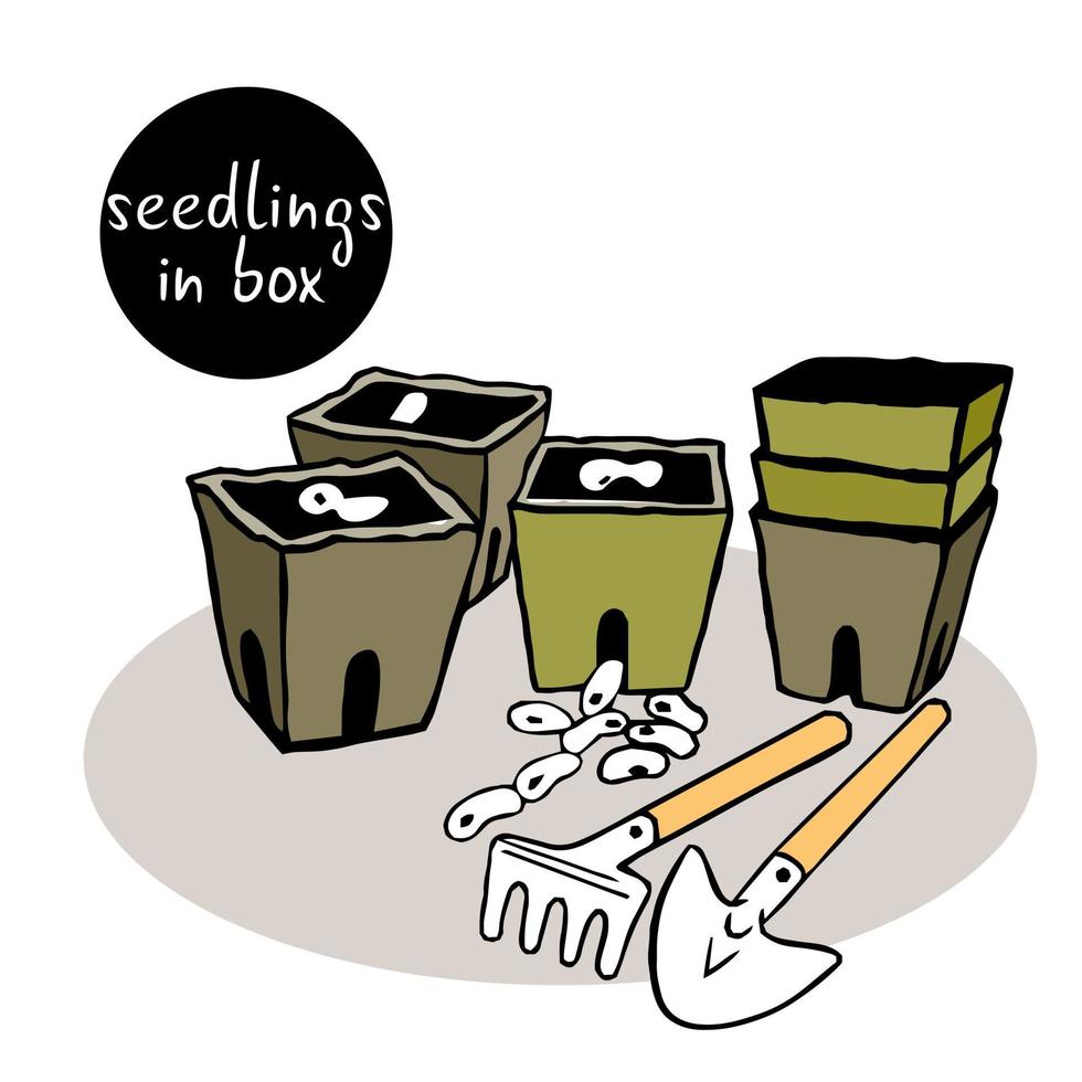 seeds are stored in a peat container. Seedlings in biodegradable pots. Sprouted plant seeds are transplanted to home beds with the help of garden tools. vector