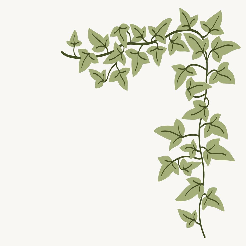 Floral ivy drawing decorative ornament flat design. vector