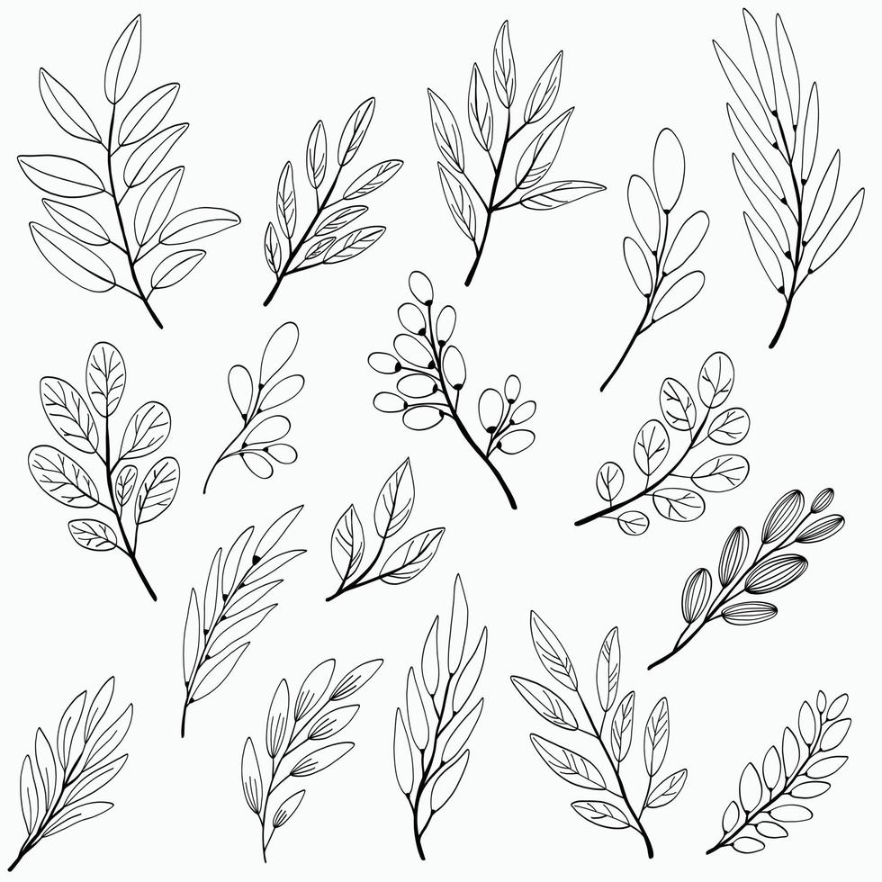 Simplicity floral freehand drawing flat design. vector