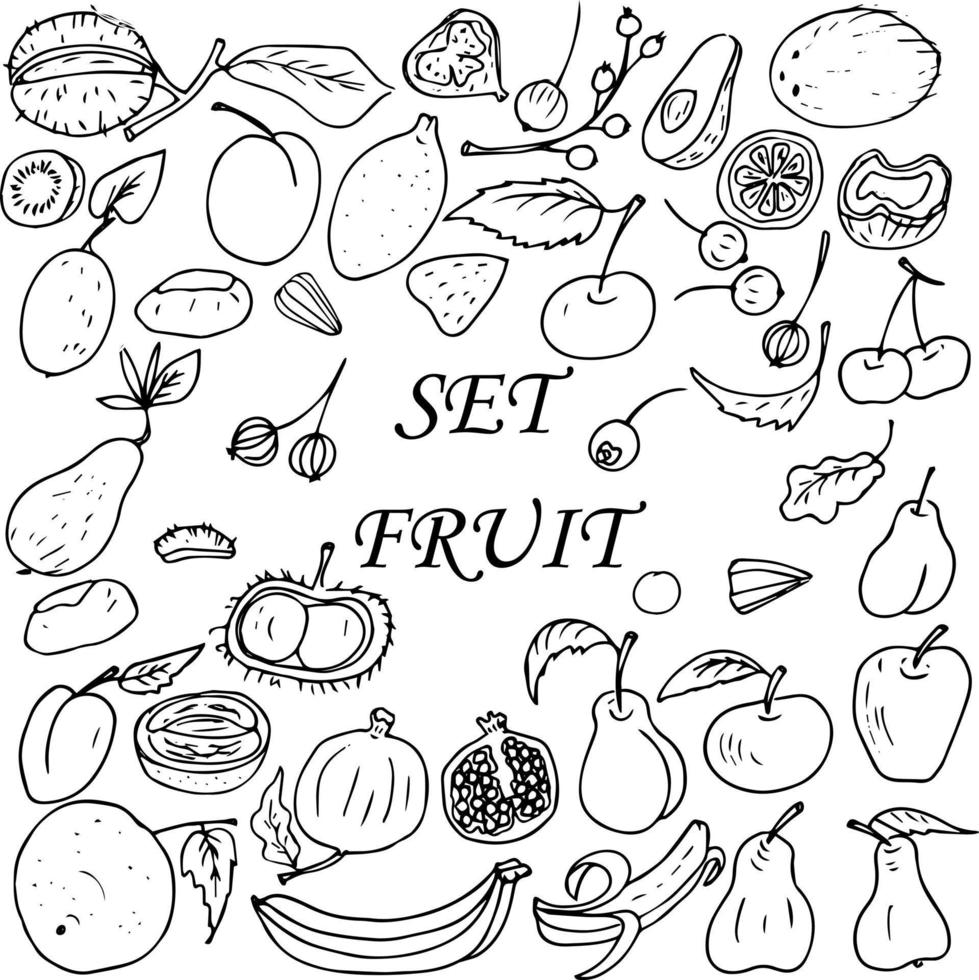 Food set of fruits and berries. Vector illustration of a set of fruits and berries.