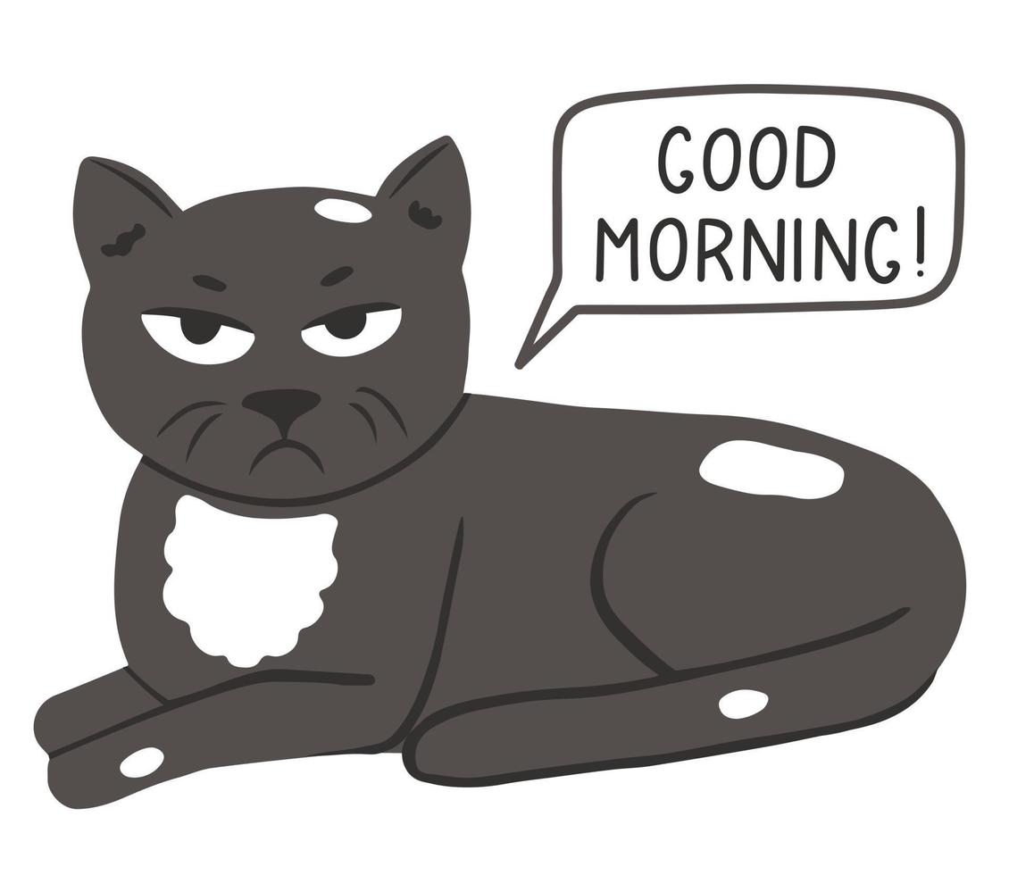 Grumpy cute cat vector