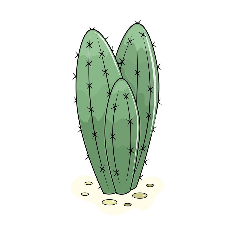 illustration of a green cactus vector