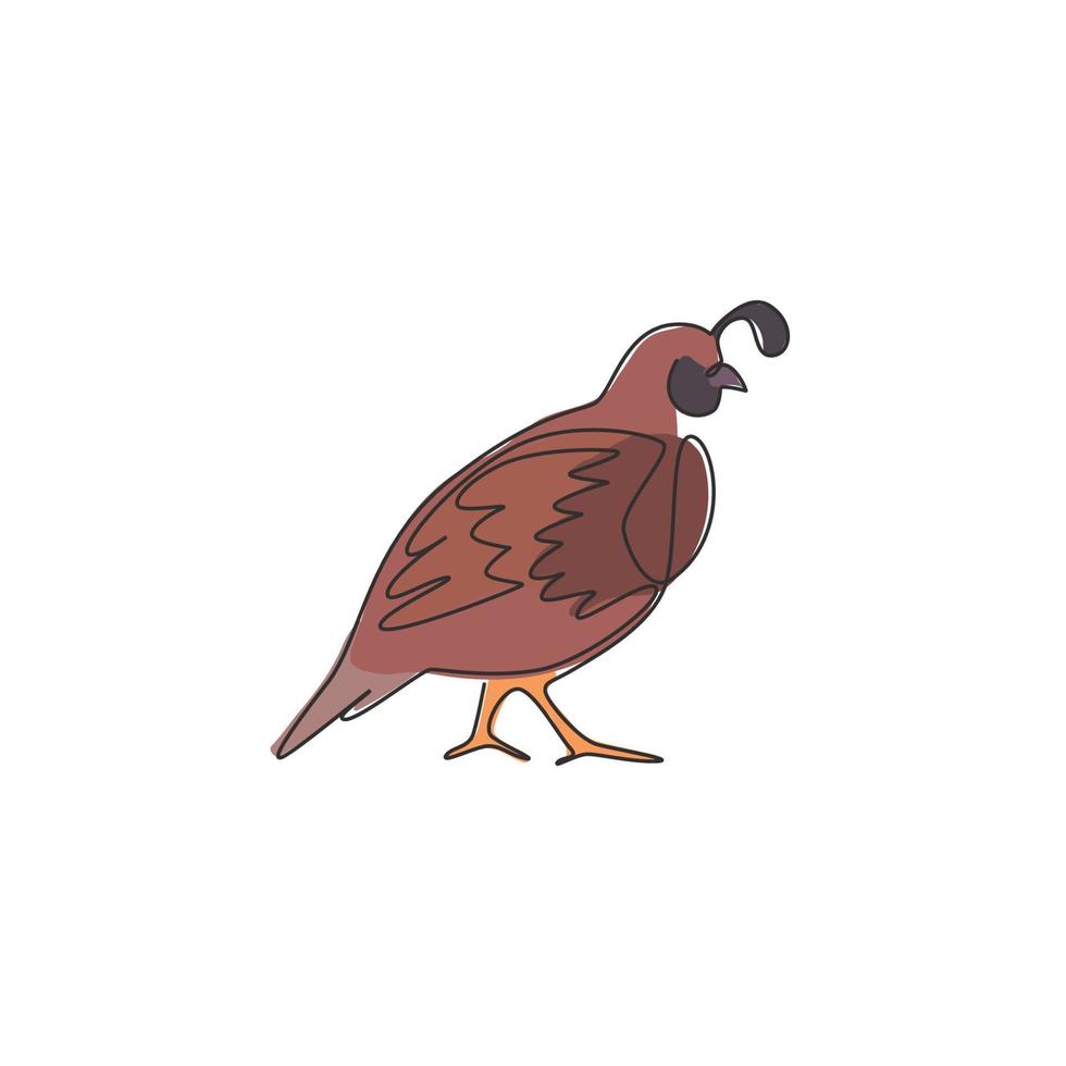 un dibujo de una sola línea de una divertida codorniz del valle para la identidad del logotipo. concepto de mascota de ave de codorniz de California para el icono del parque nacional de conservación. Ilustración de vector de diseño de dibujo de línea continua moderna