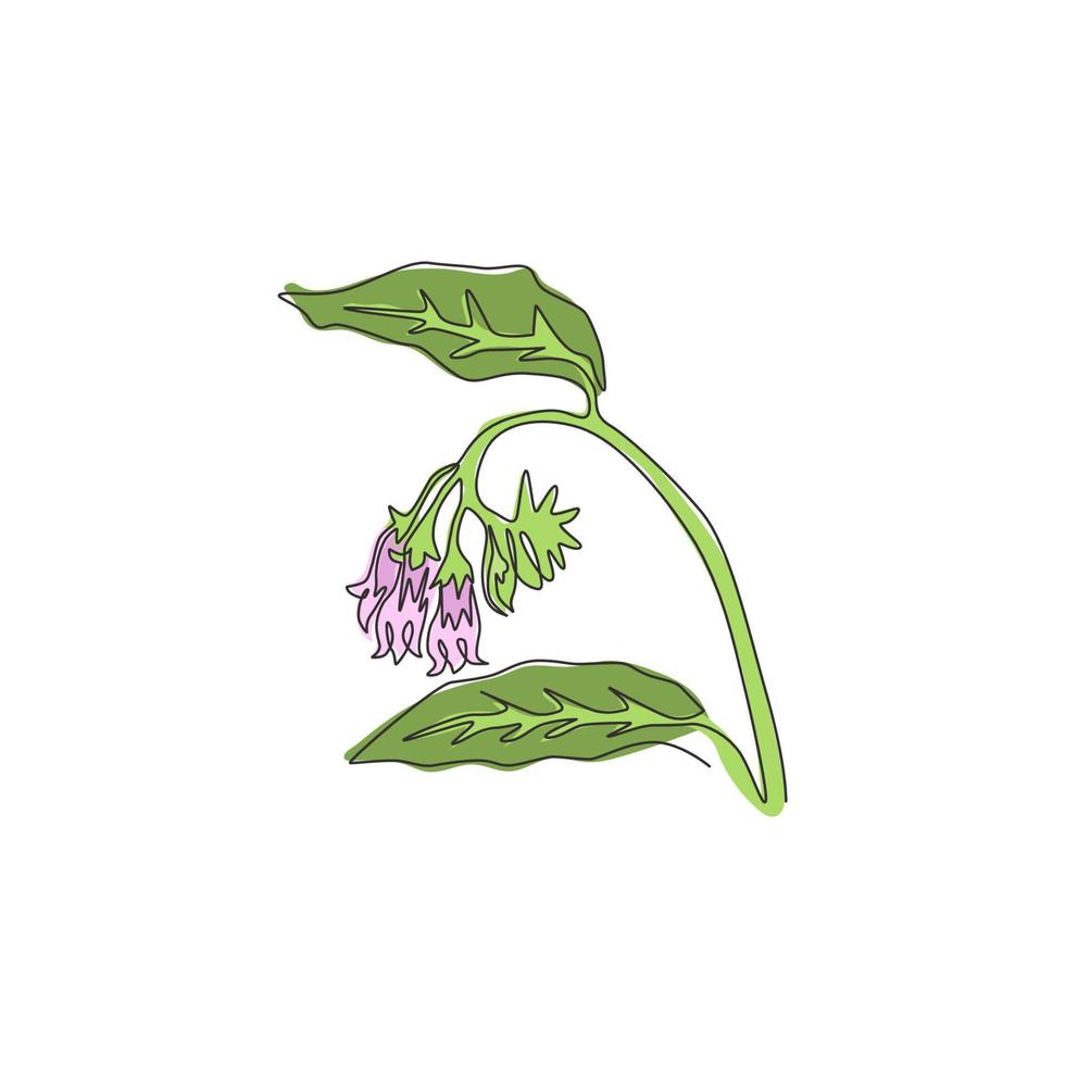 dibujo de una sola línea del symphytum fresco de la belleza para el logotipo del jardín. Concepto decorativo de flor de consuelda para decoración del hogar, impresión de carteles de arte de pared. Ilustración de vector de diseño de dibujo de línea continua moderna