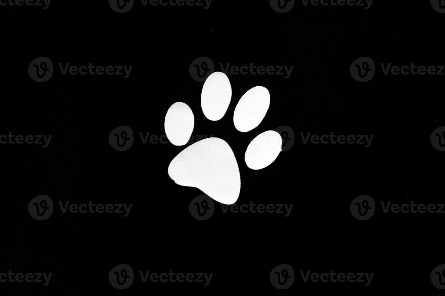 dog paw isolated on black photo