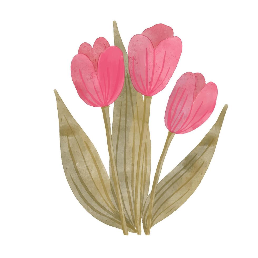 Watercolor floral Vector illustration of tulips.