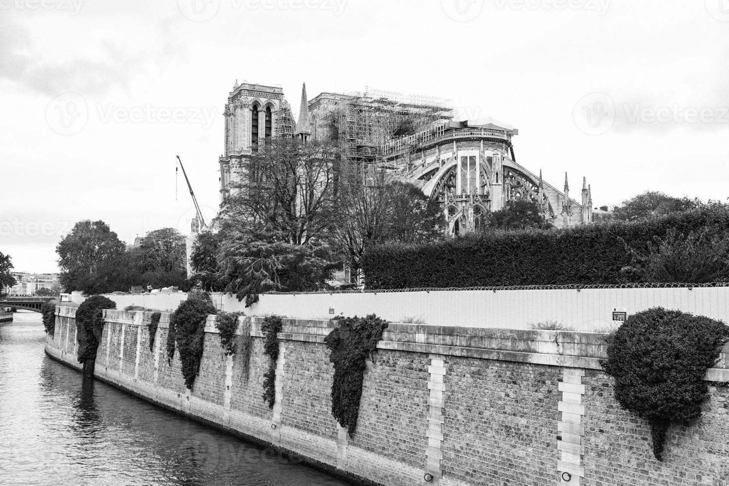 Notre dame paris under restoration photo